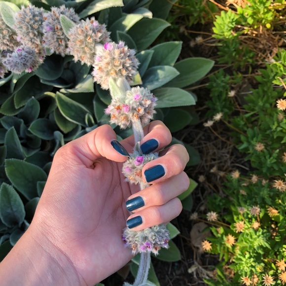 Meet your Posher, Corinne - Picture 1 of 1